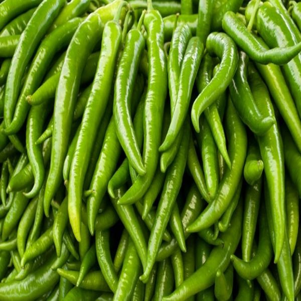 GREEN CHILLI01
